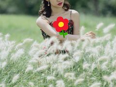 -白鹭湾湿地公园