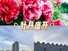 -洛阳市隋唐城遗址植物园