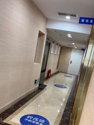 -碧莲盛·不剃发植发