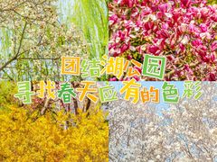 -团结湖公园