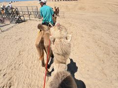 -库伦旗银沙湾旅游景区