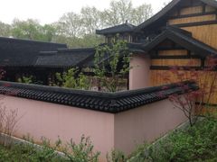 -习家池
