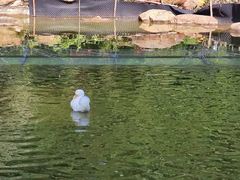 -南宁荔园维景国际酒店·荔园中餐厅