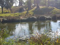 -威勒比开放式动物园