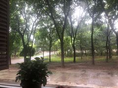 景观位-楊家一锅(沙阳路店)