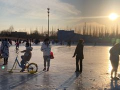 -绿野森林乐园冰雪季