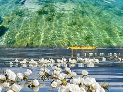 -丽江泸沽湖景区