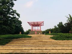 -大望京公园