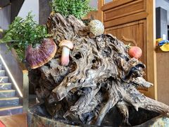 -野菌皇海景野生菌火锅(滨海大道店)