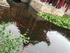 -华清宫景区