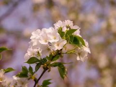 -贵阳市花溪国家城市湿地公园