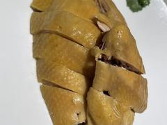 白切鸡半只-潮州府·潮菜·砂锅粥(徐家汇店)