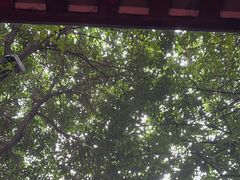 -三只耳火锅(宽窄巷子店)