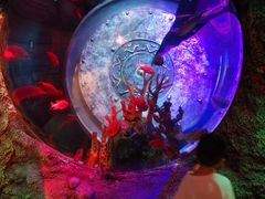 -沈阳海洋探索中心