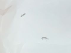 -泰馨玺·正宗泰式按摩SPA(石皮路店)