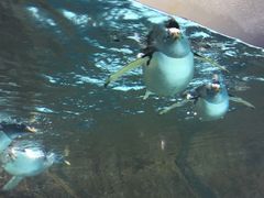 -成都浩海立方海洋公园