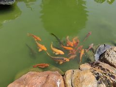 -米果果小镇
