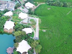 -帐篷客·溪龙茶谷度假酒店