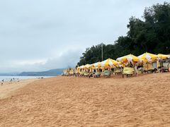 -大京沙滩