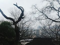 -吴山景区