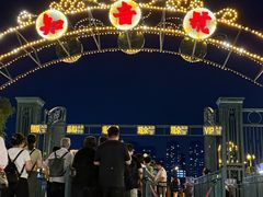 -武汉知音号