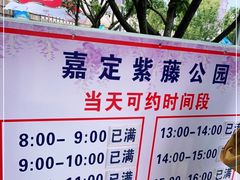 -嘉定紫藤园