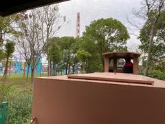-自然谷恐龙园
