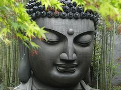 -杭州植物园