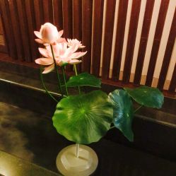 -诗泥SPA
