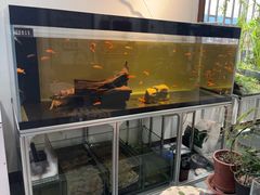 -灵龟之家百象馆(百象馆联合旗舰店)