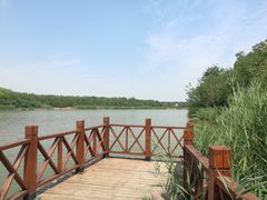 -塘沽森林公园