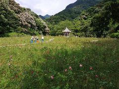 -广州市石门国家森林公园
