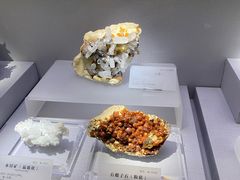 -湖南省地质博物馆