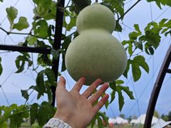 -中国天府农业博览园