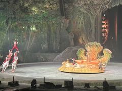 -广州长隆国际大马戏