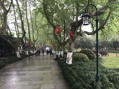 -杭州黄龙洞