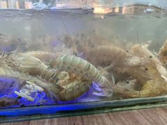 -漳州佰翔圆山酒店·圆山畔西餐厅