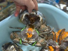 -船奇蒸汽海鲜·闽菜(八市海鲜总店)