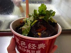 -黑色经典臭豆腐·湖南特产(坡子街店)