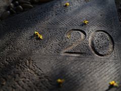 -苏州河梦清园环保主题公园