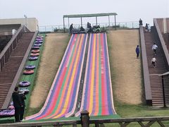 -黄海国家森林公园