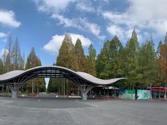 -东平国家森林公园