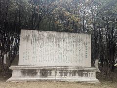 -宜兴龙背山森林公园