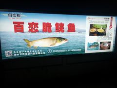 -天怡·鱼工厂(临江店)