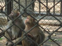 -长白岛森林公园