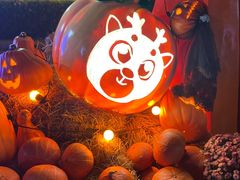 -郑州方特梦幻王国