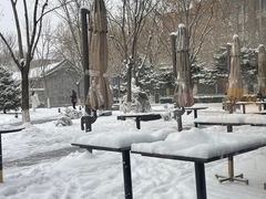 -The Rug Cafe(王府中环店)