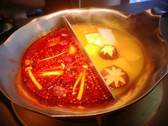 花胶鸡汤底-湊湊火锅·茶憩(南京万象天地店)