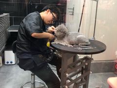 -小尾巴宠物店(万科·金域华庭店)