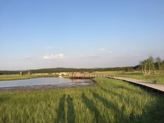 -塞罕坝国家级自然保护区